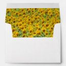 Search for photography envelopes Flower