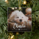 Search for mod for christmas tree decorations Baby's first christmas