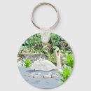 Search for swan key rings Cygnets