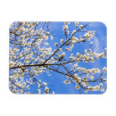 Search for spring blossoms magnets Elegant