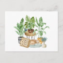 Search for cats sleeping postcards Kitten