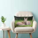 Search for wild animal cushions Animals in the wild