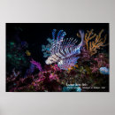 Search for beautiful lion art Colourful