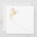 Search for freesias cards Elegant