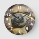 Search for tortoise shell art Cute