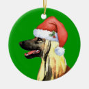 Search for hounding christmas tree decorations Sighthound