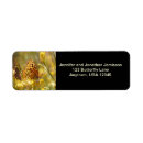 Search for butterfly return address labels Black