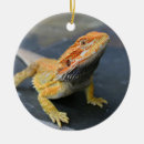 Search for bearded dragon home decor Lizard