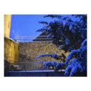 Search for snowfall posters Trees
