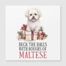 Search for maltese christmas cards Puppy