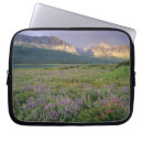 Search for public land cases North america