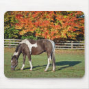 Search for feed electronics Farm