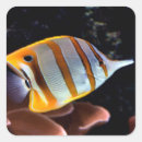 Search for aquarium stickers Coral reef