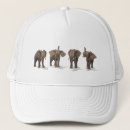 Search for protective hats Lucky