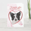 Search for border collie valentines day cards Pet