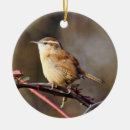 Search for wren christmas tree decorations Wildlife