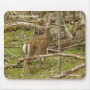 Search for doe electronics Deer
