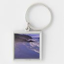Search for ecola Nature