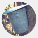 Search for sugar maple stickers Sugaring