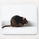 Search for pet rat electronics White