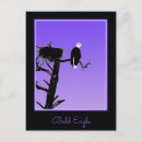 Search for the eagle postcards Portrait