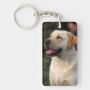 Search for labrador image key rings Animal