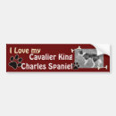 Search for cavalier bumper stickers Dog