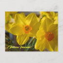 Search for pascuas postcards Spanish