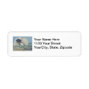 Search for new return address labels Beach