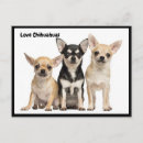 Search for funny animal postcards Puppies