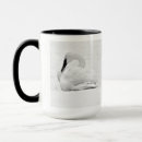Search for black swan mugs Swans