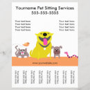 Search for bird flyers Pet sitter
