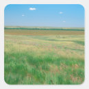 Search for grassland stickers Nature