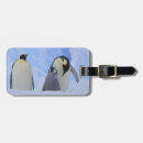 Search for penguin luggage tags Ice