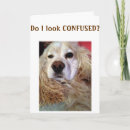 Search for confusing postcards Photography