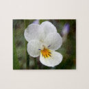 Search for pansy puzzles Plant