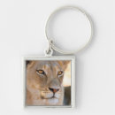 Search for lion portrait key rings Front view