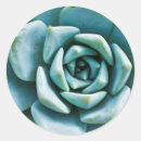 Search for closeup stickers Plant