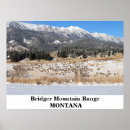 Search for wildlife photography posters Winter