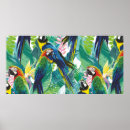 Search for colourful parrot posters Bird