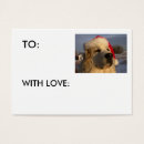 Search for great pyrenees Pets