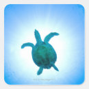 Search for turtle square stickers Animal