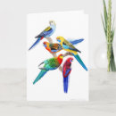 Search for rosellas cards Eastern rosella