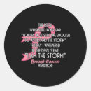Search for devil stickers Storm