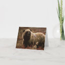 Search for grizzly bear cards Animals