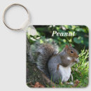 Search for gray squirrel key rings Wildlife