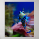 Search for fins posters Blue