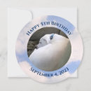 Search for cute puppy invitations Labrador retriever