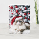 Search for hat christmas cards Pet