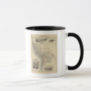 Search for bolivia mugs Shown
